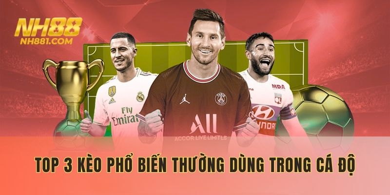 Top 3 kèo phổ biến thường dùng trong cá độ tại NH88