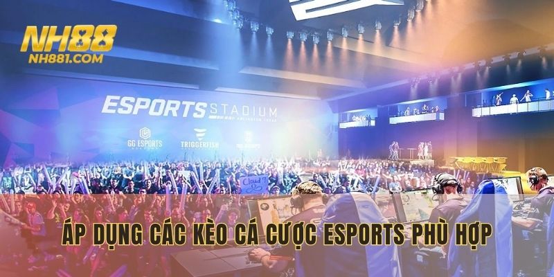 Áp dụng các kèo cá cược Esports phù hợp