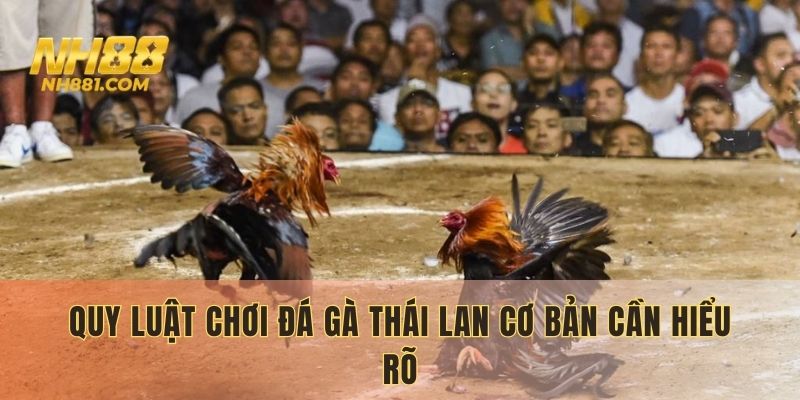 Quy luật chơi đá gà Thái Lan cơ bản cần hiểu rõ