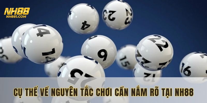 Hội viên sẽ dò từng vé thưởng miền Nam xem có trùng không